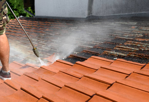 Best Fence Pressure Washing  in Gilmer, TX